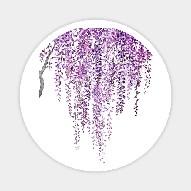 blooming wisteria flowers Magnet by colorandcolor